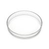Glass Ashtray