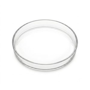 Glass Ashtray